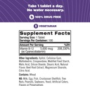 natrol-vitamin-b12-fast-dissolve-tablets-3.jpg