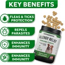 multivitamin-dog-supplement-glucosamine--2.jpg
