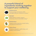 adrenal-adapt-stress-support-supplement--3.jpg