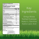 irwin-naturals-ginkgo-smart-brain-supple-2.jpg