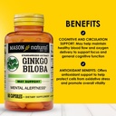 mason-natural-ginkgo-biloba-supports-bra-2.jpg