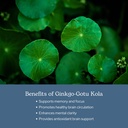 eclectic-herb-ginkgo-gotu-kola-capsules--4.jpg