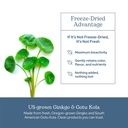 eclectic-herb-ginkgo-gotu-kola-capsules--5.jpg