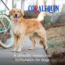 nutramax-laboratories-cobalequin-b12-sup-2.jpg