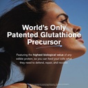 immunocal-glutathione-precursor-supports-2.jpg