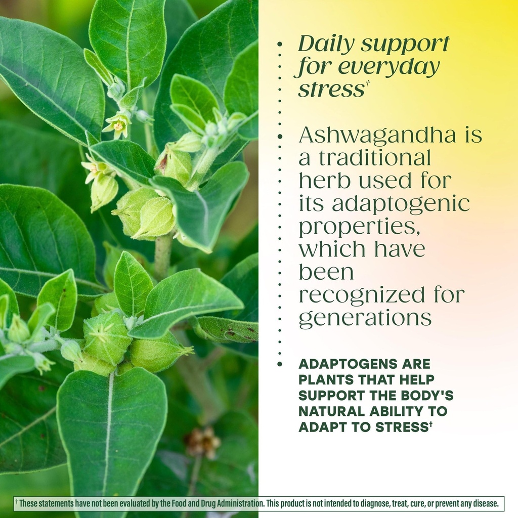megafood-ashwagandha-complex-formerly-st-5.jpg