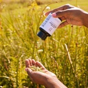 wellness-immune-support-supplement-havin-5.jpg