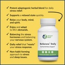 beserene-daily-cortisol-stress-support-s-6.jpg