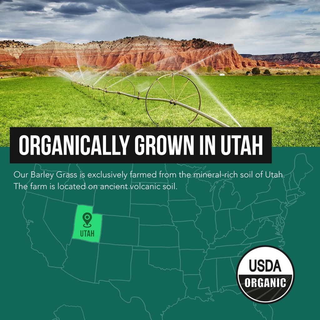 organic-barley-grass-juice-powder-grown--6.jpg