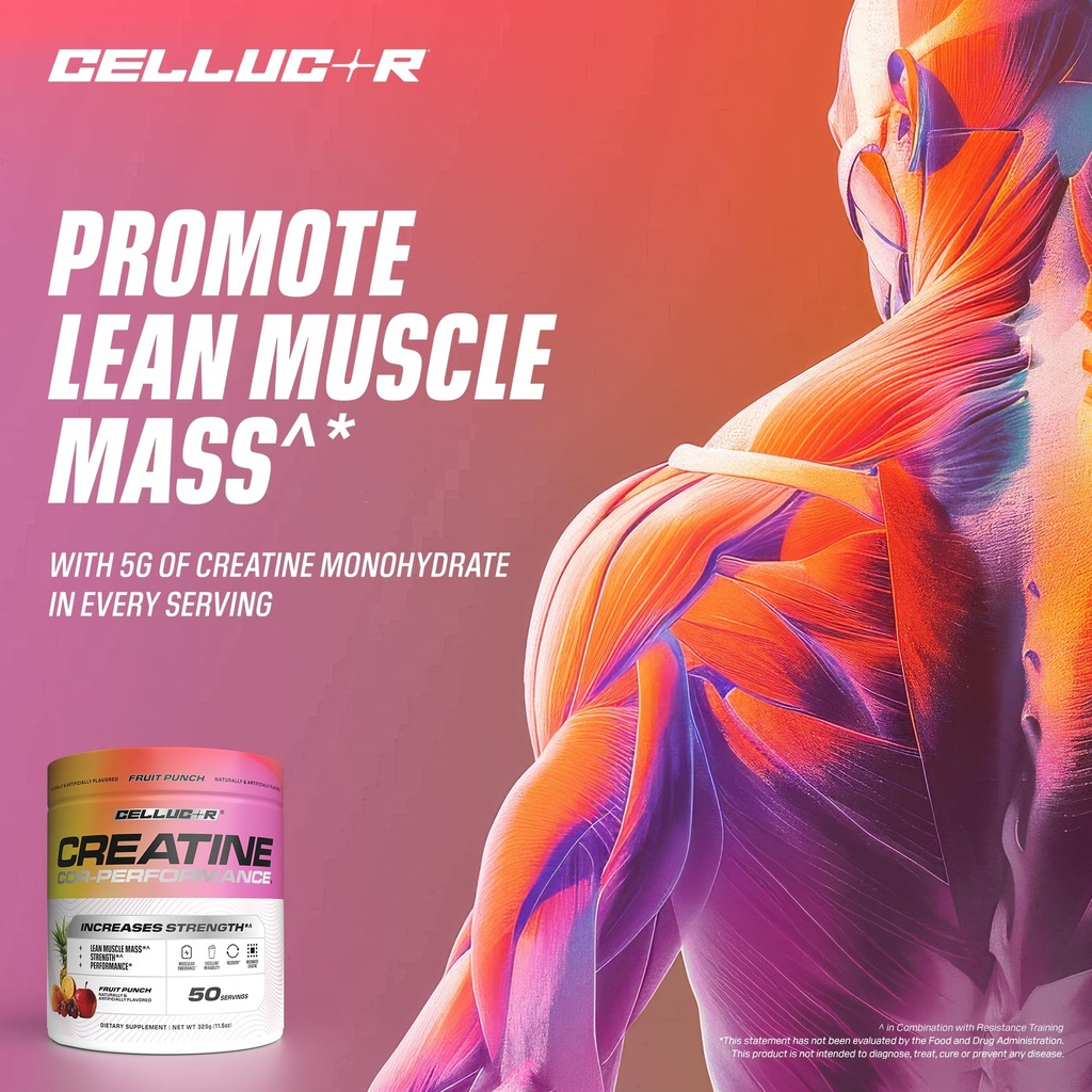 cellucor-creatine-powder-fruit-punch-fla-5.jpg