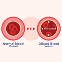 xtendlife-vasqflow-natural-nitric-oxide--5.jpg