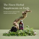 gaia-herbs-black-elderberry-sambucus-nig-2.jpg