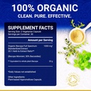 bacopa-monnieri-supplement---bacopa-supp-6.jpg