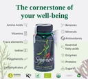 everyday-iodine---pack-of-60-capsules-4.jpg