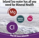 anderson-new-ionic-magnesium-complex-liq-5.jpg