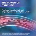 tesseract-nox-flo-sr-nitric-oxide-booste-3.jpg
