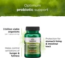 swanson-lactobacillus-gasseri---probioti-4.jpg