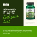 swanson-maximum-strength-peak-atp-natura-5.jpg