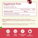 high-strength-berberine-supplement-500mg-2.jpg