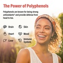 polyphenols-supplement-powerful-antioxid-5.jpg