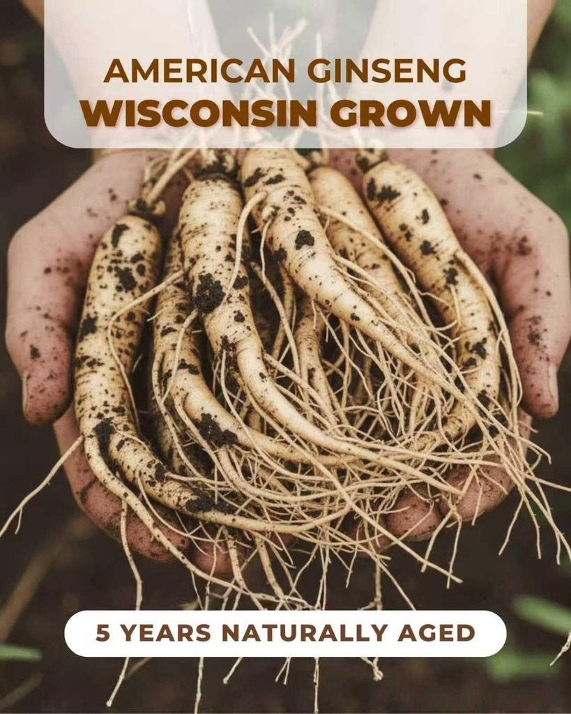hlx-2-box-of-5-years-american-ginseng-ro-3.jpg