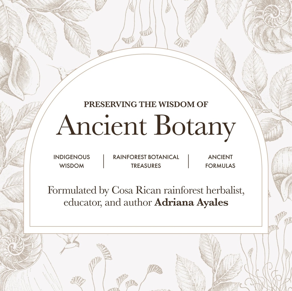 anima-mundi-apothecary-curam-organic-bea-5.jpg