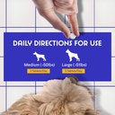b12-supplement-for-dogs-vitamin-b-12-for-5.jpg