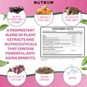 estrolife-anti-aging-support-for-women-b-3.jpg