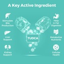 tudca-bile-salts-supplement-1000mg---180-4.jpg