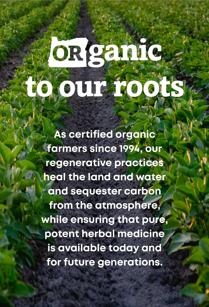 oregon-s-wild-harvest-dandelion-root-org-4.jpg