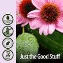 nature-s-answer-alcohol-free-immune-boos-5.jpg