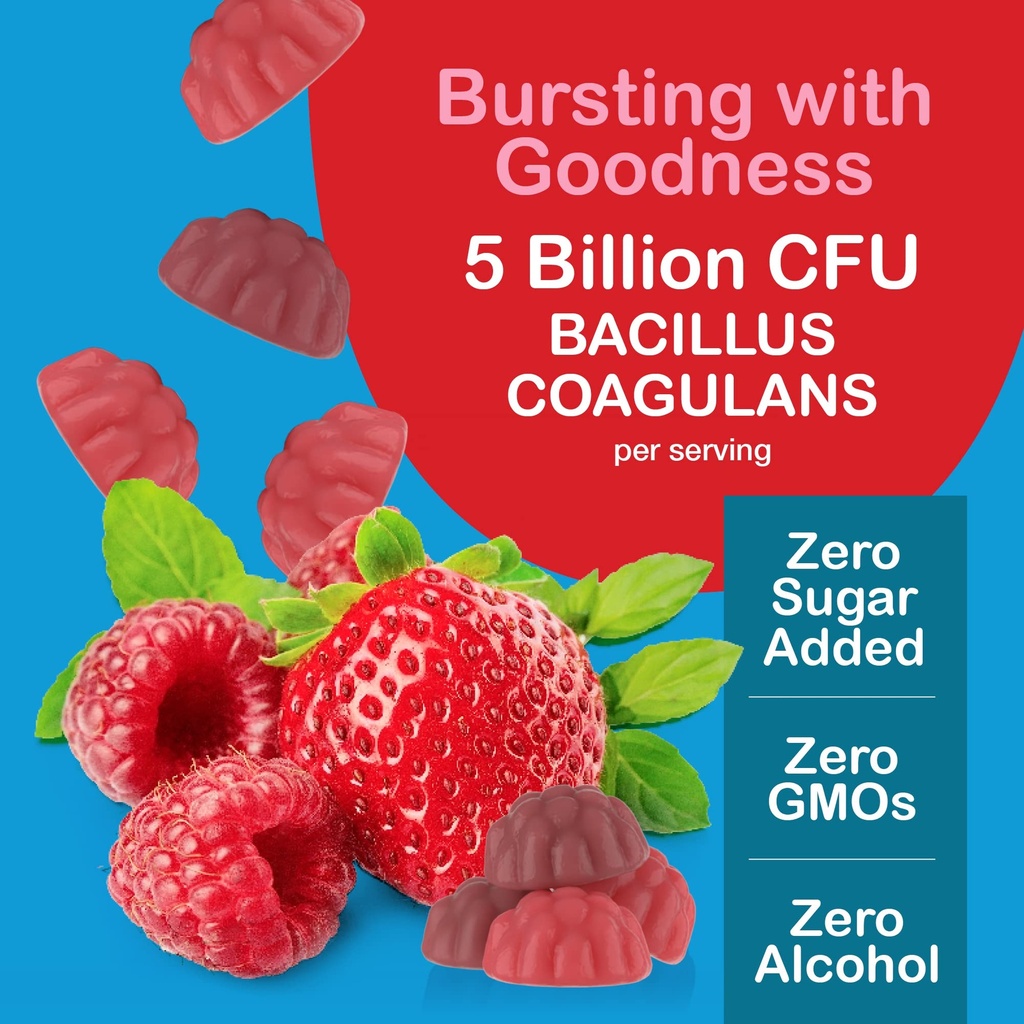 yum-v-s-sugar-free-probiotic-gummies-pro-4.jpg