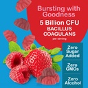 yum-v-s-sugar-free-probiotic-gummies-pro-4.jpg