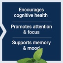 life-extension-cognitex-elite-sage-blueb-4.jpg