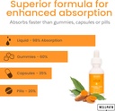 wellpath-liposomal-curcumin-supplement-l-4.jpg