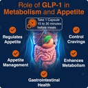 glp-1-supplement-for-women-and-men-diges-3.jpg