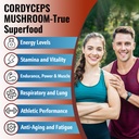 cordyceps-mushroom-capsules-immune-energ-2.jpg