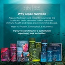 energybitsrecoverybits---organic-spiruli-2.jpg