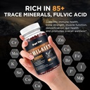 shilajit-gummies-1000mg---shilajit-pure--4.jpg