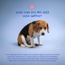 milk-thistle-for-dogs-120-chewable-table-4.jpg