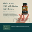 gaia-herbs-adaptogen-performance-mushroo-4.jpg
