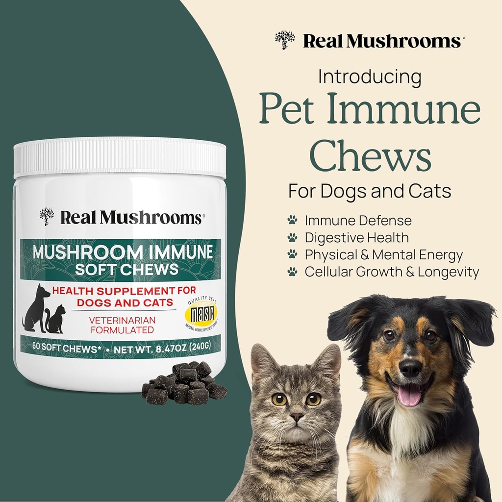 real-mushrooms-soft-chews-for-pets-funct-2.jpg
