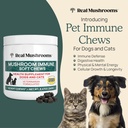 real-mushrooms-soft-chews-for-pets-funct-2.jpg