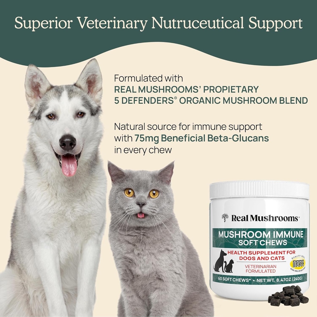 real-mushrooms-soft-chews-for-pets-funct-4.jpg