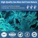 sea-moss-gel-blue-spirulina-irish-seamos-3.jpg