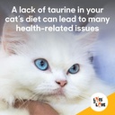 felo-taurine---taurine-supplement-for-ca-6.jpg