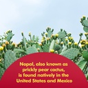 santo-remedio-resveratrol-nopal-bundle-6.jpg