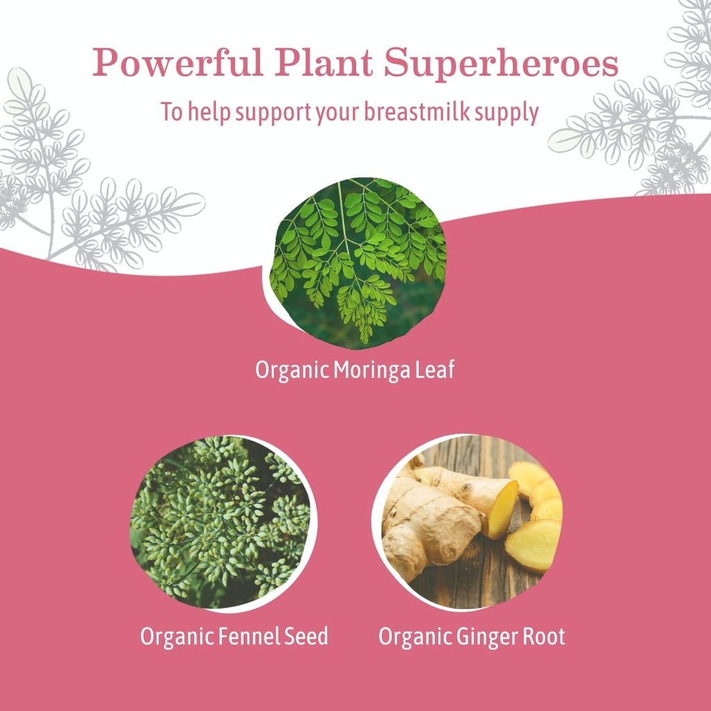 earth-mama-organic-lactahydrate-lactatio-4.jpg