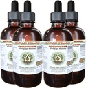 Cordyceps Extracto líquido libre de alcohol, Cordyceps (Cordyceps Sinensis) Mushroom Glycerite Hawaii Pharm Natural Herbal Suplemento 4x4 oz