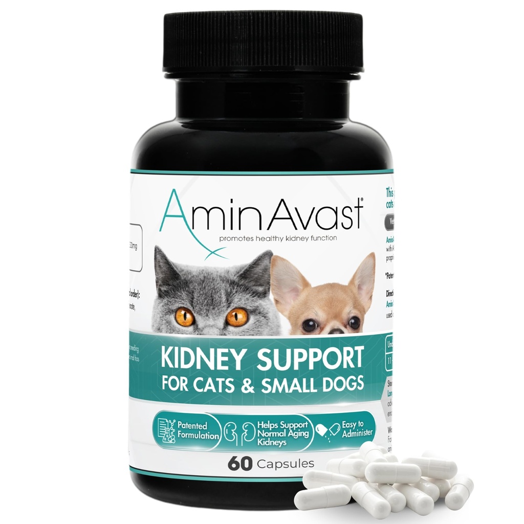 AminAvast Small Dogs & Cat Kidney Support - Promueve el apoyo saludable a los riñones en gatos &amp; perros pequeños - 300mg, 60 cápsulas